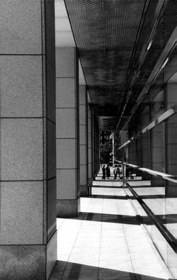 Support beams often carry a large percentage of a building's weight, as shown in this building located near the Chicago River downtown.